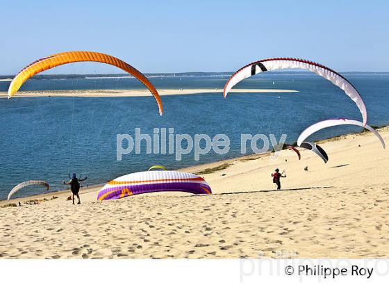 VOL EN PARAPENTE , DEPUIS LA DUNE DU PILAT, BASSIN D' ARCACHON, GIRONDE. (33F30620.jpg)