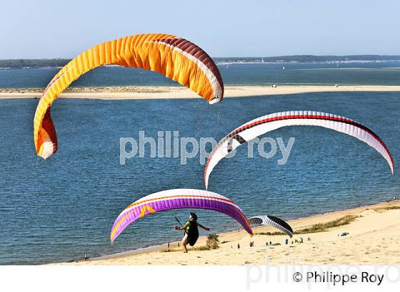 VOL EN PARAPENTE , DEPUIS LA DUNE DU PILAT, BASSIN D' ARCACHON, GIRONDE. (33F30621.jpg)