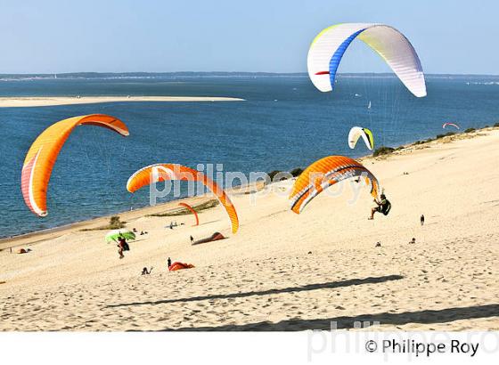 VOL EN PARAPENTE , DEPUIS LA DUNE DU PILAT, BASSIN D' ARCACHON, GIRONDE. (33F30622.jpg)