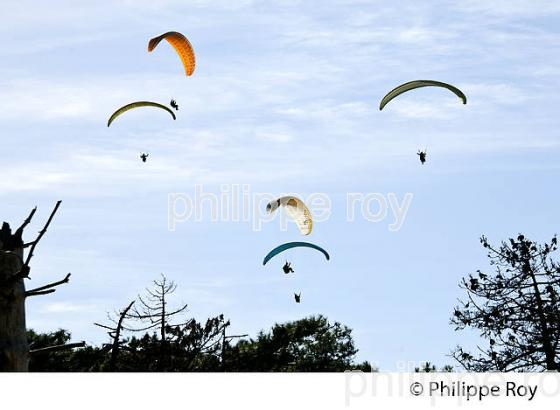 VOL EN PARAPENTE , DEPUIS LA DUNE DU PILAT, BASSIN D' ARCACHON, GIRONDE. (33F30629.jpg)