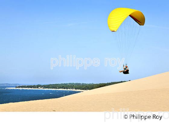 VOL EN PARAPENTE , DEPUIS LA DUNE DU PILAT, BASSIN D' ARCACHON, GIRONDE. (33F30632.jpg)