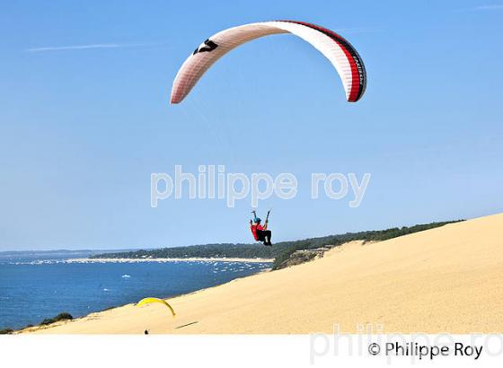 VOL EN PARAPENTE , DEPUIS LA DUNE DU PILAT, BASSIN D' ARCACHON, GIRONDE. (33F30633.jpg)