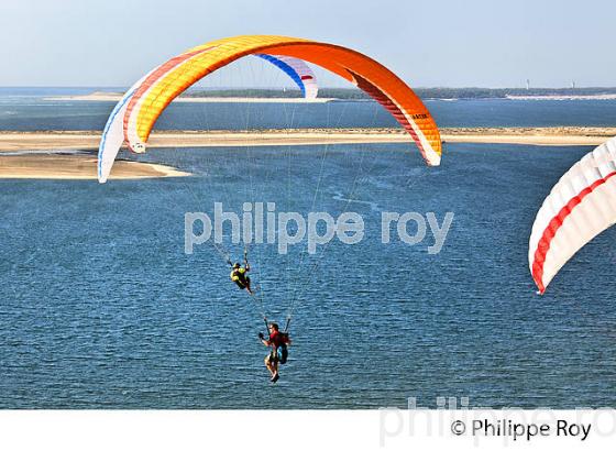VOL EN PARAPENTE , DEPUIS LA DUNE DU PILAT, BASSIN D' ARCACHON, GIRONDE. (33F30634.jpg)