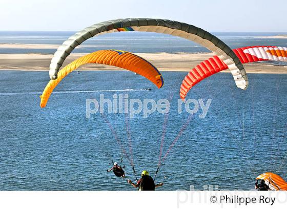 VOL EN PARAPENTE , DEPUIS LA DUNE DU PILAT, BASSIN D' ARCACHON, GIRONDE. (33F30635.jpg)