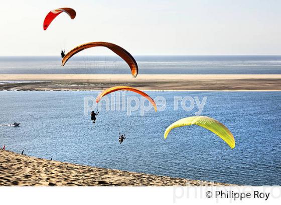 VOL EN PARAPENTE , DEPUIS LA DUNE DU PILAT, BASSIN D' ARCACHON, GIRONDE. (33F30637.jpg)