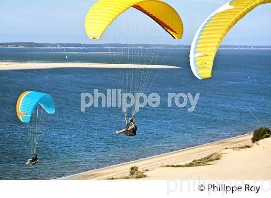 VOL EN PARAPENTE , DEPUIS LA DUNE DU PILAT, BASSIN D' ARCACHON, GIRONDE. (33F30640.jpg)