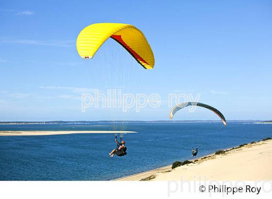 VOL EN PARAPENTE , DEPUIS LA DUNE DU PILAT, BASSIN D' ARCACHON, GIRONDE. (33F30703.jpg)