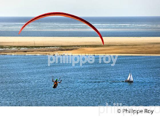 VOL EN PARAPENTE , DEPUIS LA DUNE DU PILAT, BASSIN D' ARCACHON, GIRONDE. (33F30706.jpg)