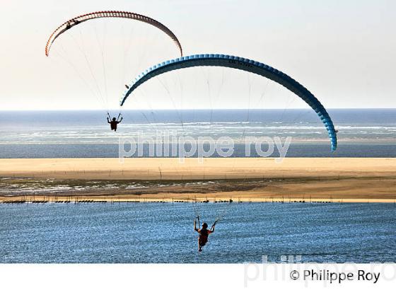 VOL EN PARAPENTE , DEPUIS LA DUNE DU PILAT, BASSIN D' ARCACHON, GIRONDE. (33F30708.jpg)