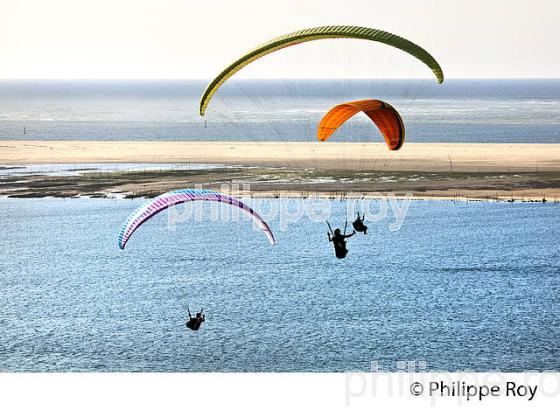 VOL EN PARAPENTE , DEPUIS LA DUNE DU PILAT, BASSIN D' ARCACHON, GIRONDE. (33F30709.jpg)