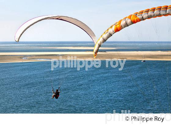 VOL EN PARAPENTE , DEPUIS LA DUNE DU PILAT, BASSIN D' ARCACHON, GIRONDE. (33F30710.jpg)