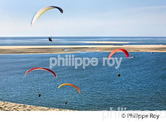 VOL EN PARAPENTE , DEPUIS LA DUNE DU PILAT, BASSIN D' ARCACHON, GIRONDE. (33F30712.jpg)