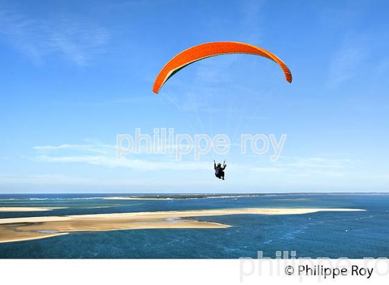 VOL EN PARAPENTE , DEPUIS LA DUNE DU PILAT, BASSIN D' ARCACHON, GIRONDE. (33F30718.jpg)