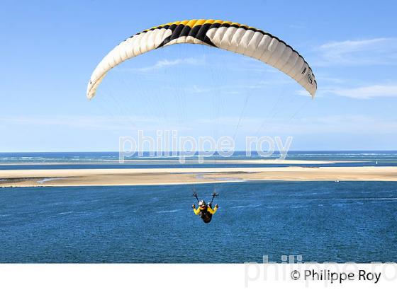 VOL EN PARAPENTE , DEPUIS LA DUNE DU PILAT, BASSIN D' ARCACHON, GIRONDE. (33F30719.jpg)