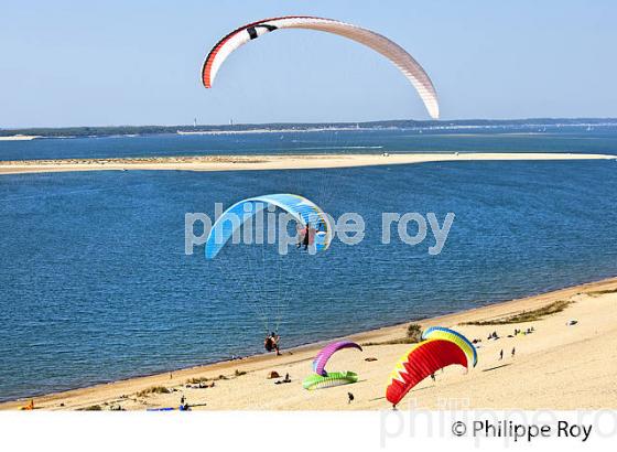 VOL EN PARAPENTE , DEPUIS LA DUNE DU PILAT, BASSIN D' ARCACHON, GIRONDE. (33F30720.jpg)