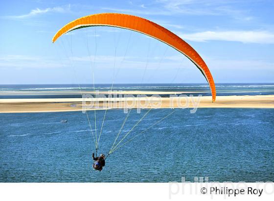 VOL EN PARAPENTE , DEPUIS LA DUNE DU PILAT, BASSIN D' ARCACHON, GIRONDE. (33F30721.jpg)