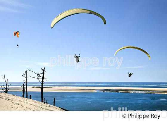 VOL EN PARAPENTE , DEPUIS LA DUNE DU PILAT, BASSIN D' ARCACHON, GIRONDE. (33F30724.jpg)