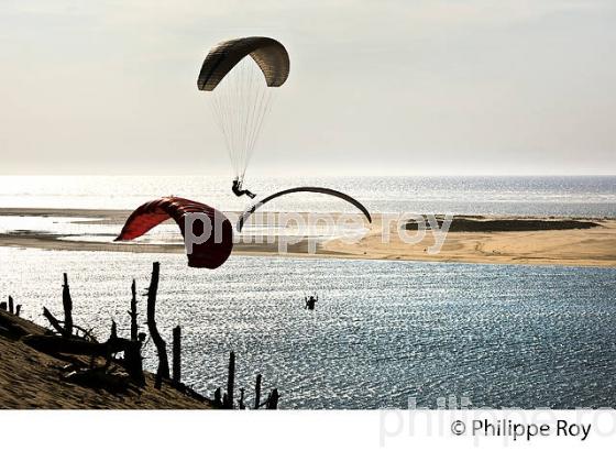 VOL EN PARAPENTE , DEPUIS LA DUNE DU PILAT, BASSIN D' ARCACHON, GIRONDE. (33F30726.jpg)