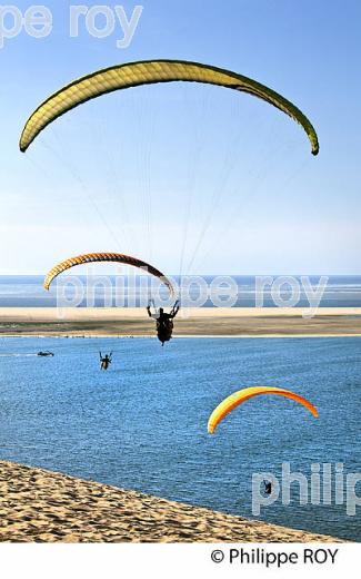 VOL EN PARAPENTE , DEPUIS LA DUNE DU PILAT, BASSIN D' ARCACHON, GIRONDE. (33F30739.jpg)