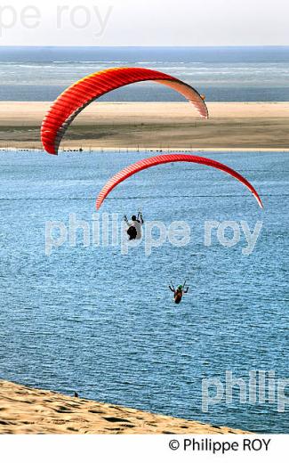 VOL EN PARAPENTE , DEPUIS LA DUNE DU PILAT, BASSIN D' ARCACHON, GIRONDE. (33F30801.jpg)