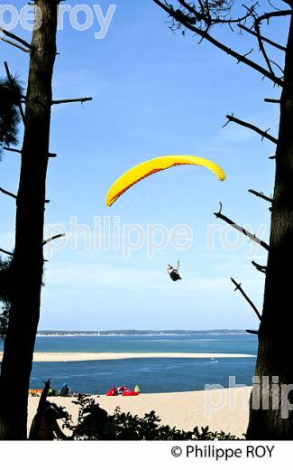 VOL EN PARAPENTE , DEPUIS LA DUNE DU PILAT, BASSIN D' ARCACHON, GIRONDE. (33F30803.jpg)