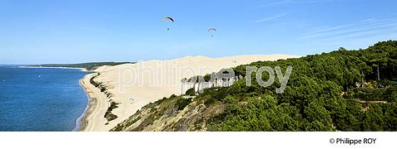 VOL EN PARAPENTE , DEPUIS LA DUNE DU PILAT, BASSIN D' ARCACHON, GIRONDE. (33F30833.jpg)