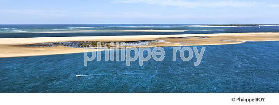 VOL EN PARAPENTE , DEPUIS LA DUNE DU PILAT, BASSIN D' ARCACHON, GIRONDE. (33F30834.jpg)