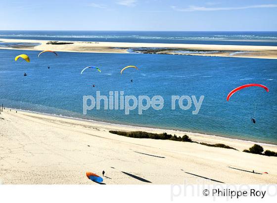 VOL EN PARAPENTE , DEPUIS LA DUNE DU PILAT, BASSIN D' ARCACHON, GIRONDE. (33F30835.jpg)