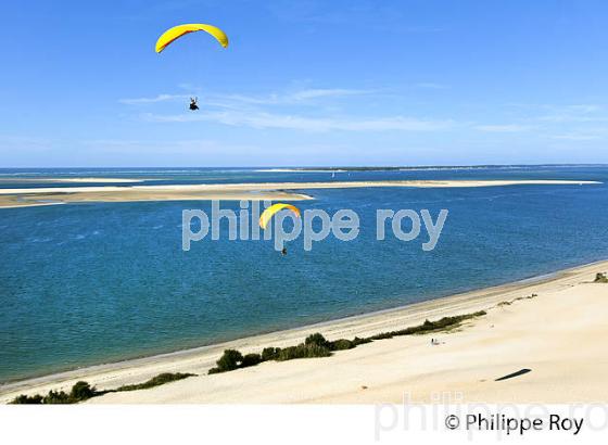 VOL EN PARAPENTE , DEPUIS LA DUNE DU PILAT, BASSIN D' ARCACHON, GIRONDE. (33F30836.jpg)