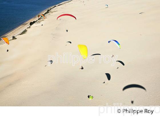 VOL EN PARAPENTE , DEPUIS LA DUNE DU PILAT, BASSIN D' ARCACHON, GIRONDE. (33F30838.jpg)