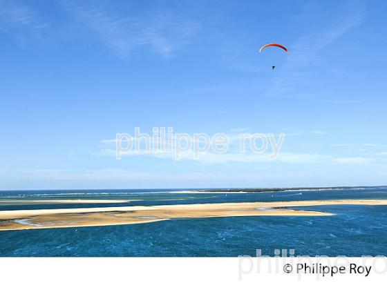 VOL EN PARAPENTE , DEPUIS LA DUNE DU PILAT, BASSIN D' ARCACHON, GIRONDE. (33F30901.jpg)