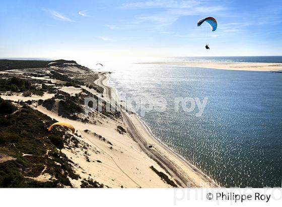 VOL EN PARAPENTE , DEPUIS LA DUNE DU PILAT, BASSIN D' ARCACHON, GIRONDE. (33F30902.jpg)