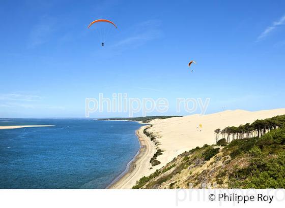 VOL EN PARAPENTE , DEPUIS LA DUNE DU PILAT, BASSIN D' ARCACHON, GIRONDE. (33F30905.jpg)