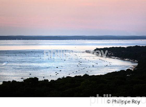 CREPUSCULE SUR LE BASSIN D' ARCACHON  DEPUIS  LA DUNE DU PILAT, GIRONDE. (33F30928.jpg)