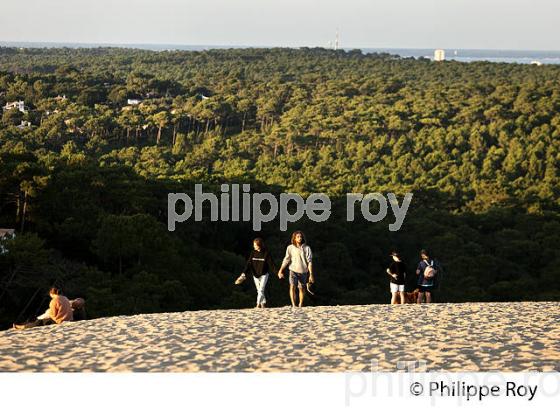 MONTEE A LA DUNE DU PILAT ET   LA FORET DE  PINS, ET LE BASSIN D' ARCACHON, GIRONDE. (33F30935.jpg)