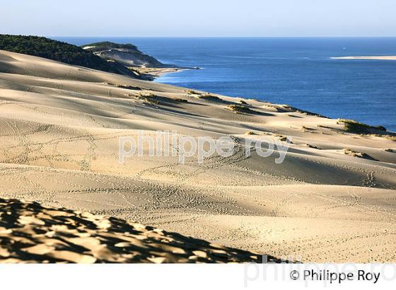 PA?NORAMA  DE  LA DUNE DU PILAT,  ET LES PASSES DU  BASSIN D' ARCACHON, GIRONDE. (33F30937.jpg)
