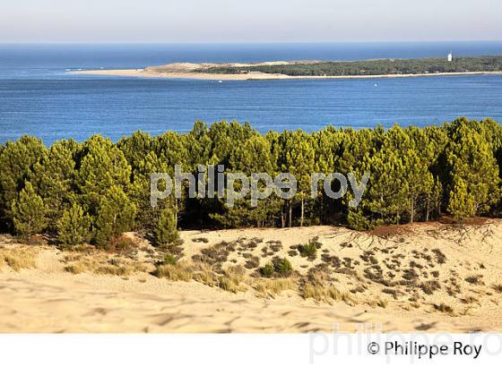LA DUNE DU PILAT ET LA POINTE DU CAP FERRET,   BASSIN D' ARCACHON, DUNE DU PILAT, GIRONDE. (33F30938.jpg)