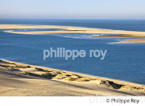 DUNE DU PILAT, LE BANC D' ARGUIN ET PASSES DU  BASSIN D' ARCACHON   GIRONDE. (33F31002.jpg)