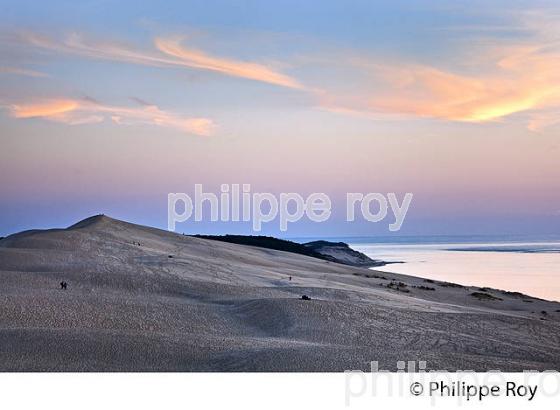 CREPUSCULE SUR LA DUNE DU PILAT, BASSIN D' ARCACHON, GIRONDE. (33F31018.jpg)