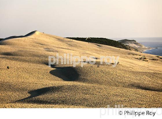 CREPUSCULE SUR LA DUNE DU PILAT, BASSIN D' ARCACHON, GIRONDE. (33F31019.jpg)