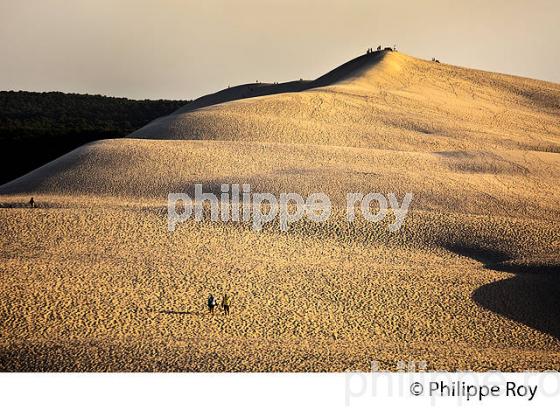 CREPUSCULE SUR LA DUNE DU PILAT, BASSIN D' ARCACHON, GIRONDE. (33F31020.jpg)