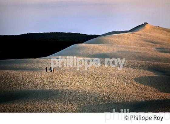 CREPUSCULE SUR LA DUNE DU PILAT, BASSIN D' ARCACHON, GIRONDE. (33F31021.jpg)