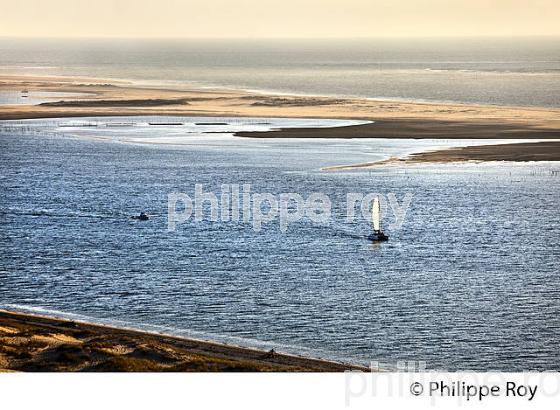 CREPUSCULE SUR LES PASSES DU  BASSIN D' ARCACHON, DUNE DU PILAT, GIRONDE. (33F31023.jpg)