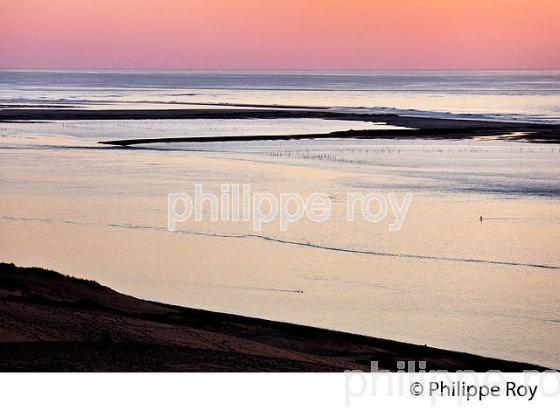 CREPUSCULE SUR LES PASSES DU  BASSIN D' ARCACHON, DUNE DU PILAT, GIRONDE. (33F31102.jpg)
