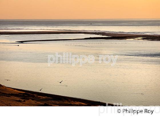 CREPUSCULE SUR LES PASSES DU  BASSIN D' ARCACHON, DUNE DU PILAT, GIRONDE. (33F31103.jpg)