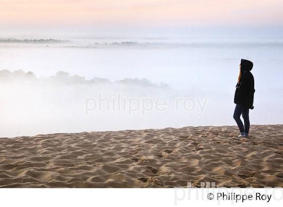 LEVER DU JOUR ET BRUME MATINALE  SUR LA DUNE DU PILAT, BASSIN D' ARCACHON, GIRONDE. (33F31125.jpg)