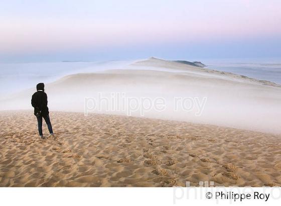 LEVER DU JOUR ET BRUME MATINALE  SUR LA DUNE DU PILAT, BASSIN D' ARCACHON, GIRONDE. (33F31126.jpg)