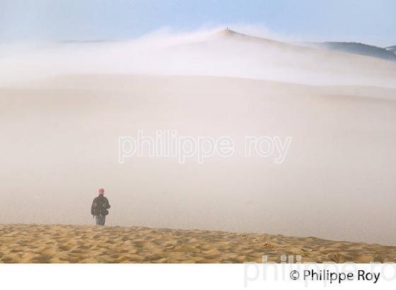 LEVER DU JOUR ET BRUME MATINALE  SUR LA DUNE DU PILAT, BASSIN D' ARCACHON, GIRONDE. (33F31127.jpg)