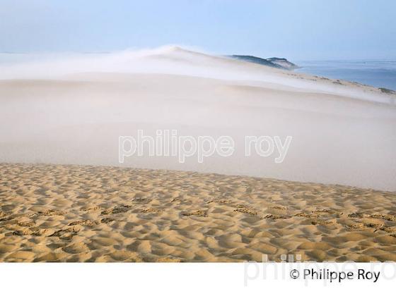 LEVER DU JOUR ET BRUME MATINALE  SUR LA DUNE DU PILAT, BASSIN D' ARCACHON, GIRONDE. (33F31128.jpg)