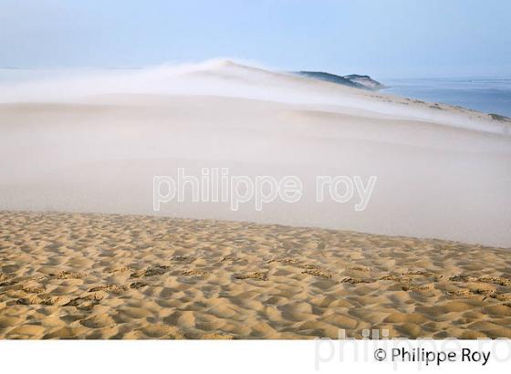 LEVER DU JOUR ET BRUME MATINALE  SUR LA DUNE DU PILAT, BASSIN D' ARCACHON, GIRONDE. (33F31128.jpg)